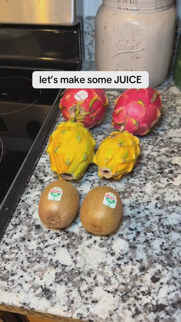 Masticating Juicer 4